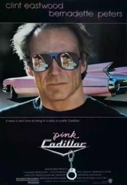 Cover di Pink Cadillac