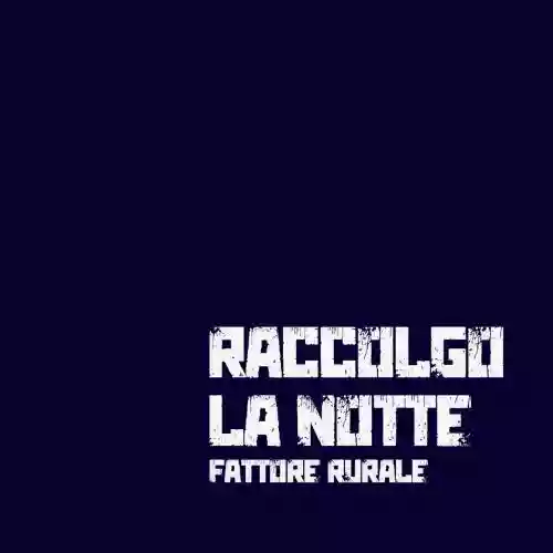 Cover di RACCOLGO LA NOTTE