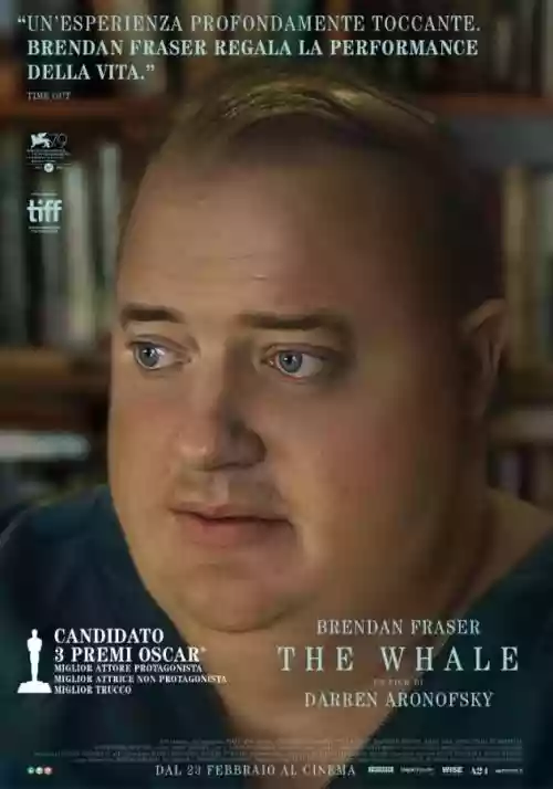 Cover di The Whale