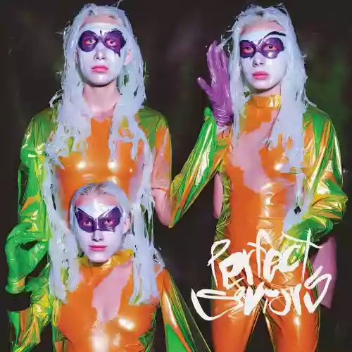 Cover di Perfect Savoirs