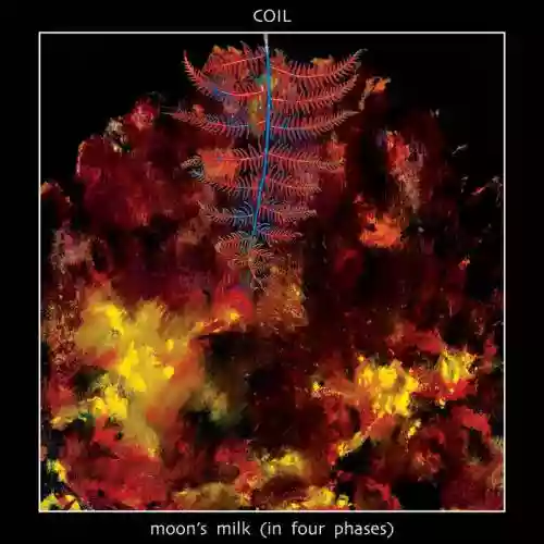 Cover di "MOON'S MILK (IN FOUR PHASES)"