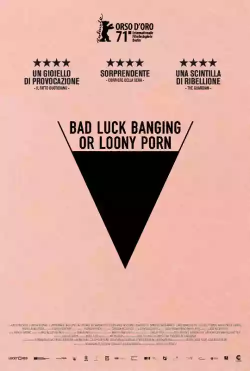 Cover di Sesso Sfortunato o Follie Porno 