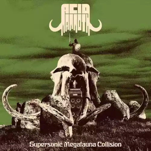 Cover di Supersonic Megafauna Collision