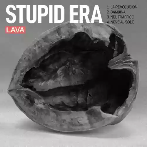 Cover di STUPID ERA