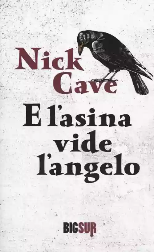 Cover di E l'asina vide l'angelo