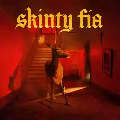 Cover di Skinty Fia