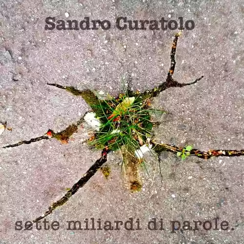 Cover di “Sette Miliardi di Parole” 
