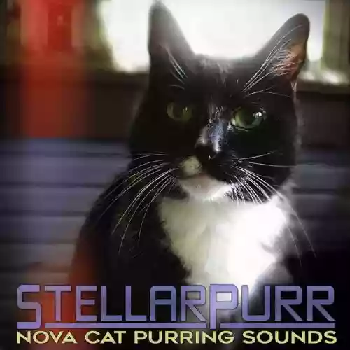 Cover di Stellarpurr