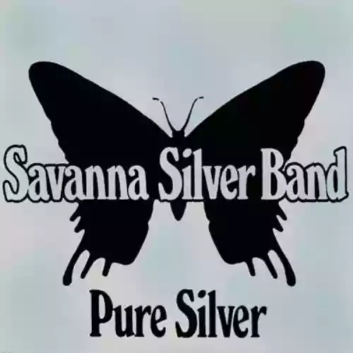 Cover di Pure Silver