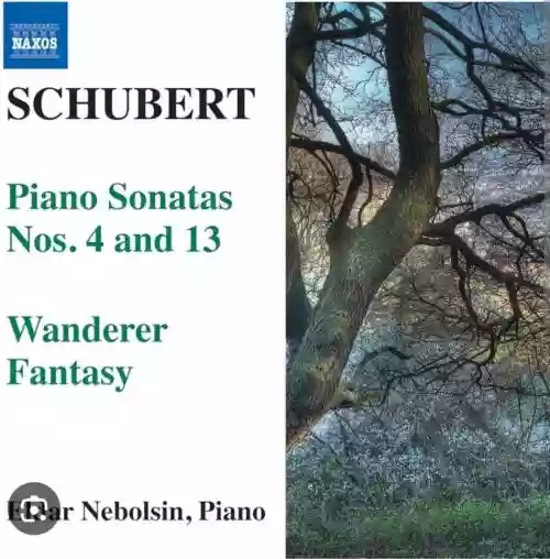 Cover di Schubert. Sonate per pianoforte nn. 4 e 13 - Fantasia 'Wanderer'