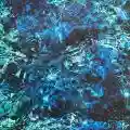 <b>Ichiko Aoba</b> • Luminescent Creatures