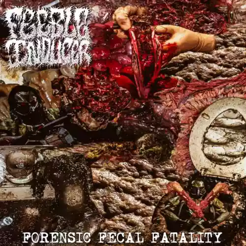 Cover di Forensic Fecal Fatality