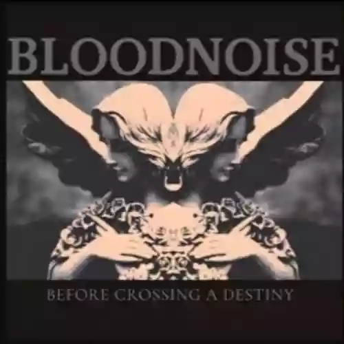Cover di Before Crossing A Destiny 