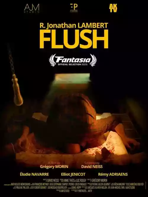 Cover di Flush