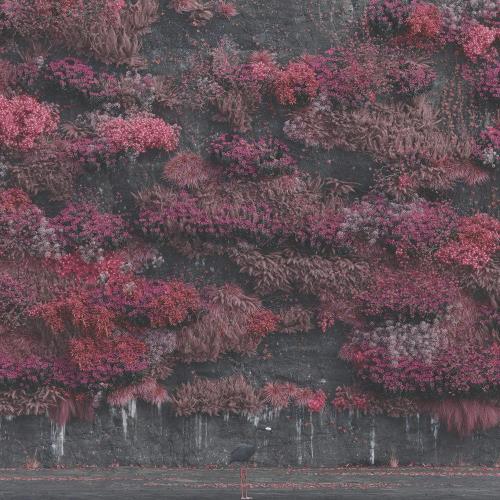 Cover di Even in Arcadia