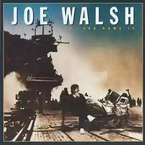 Copertina di Joe Walsh You Bought It—You Name It