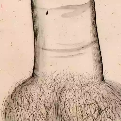 Cover di The Gerogerigegege