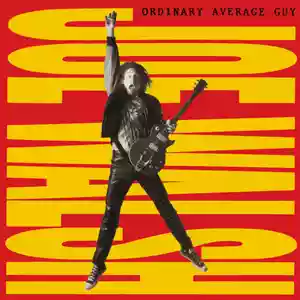 Copertina di Joe Walsh Ordinary Average Guy