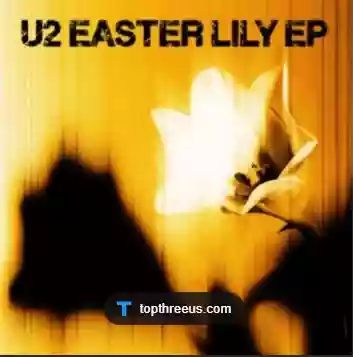 Copertina di U2 Easter Lily