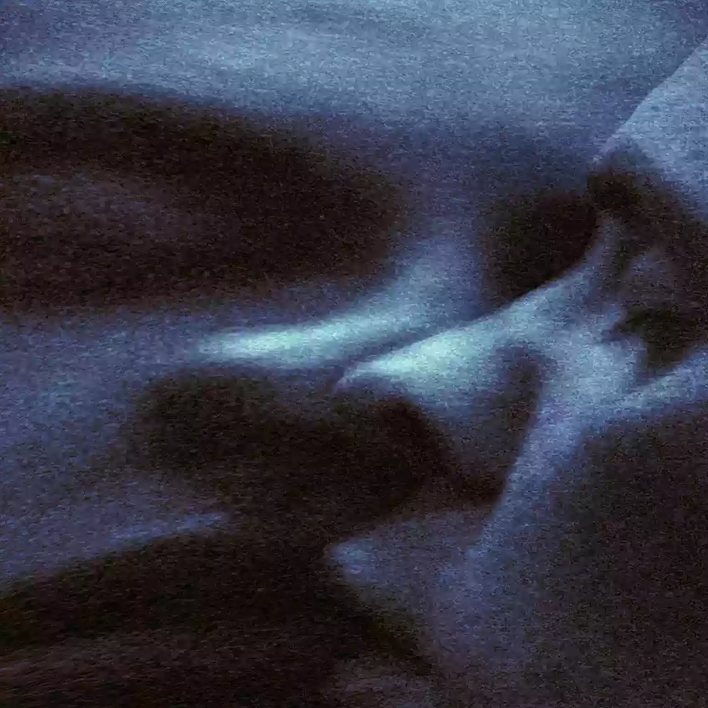 Copertina di Puma Blue Croak Dream