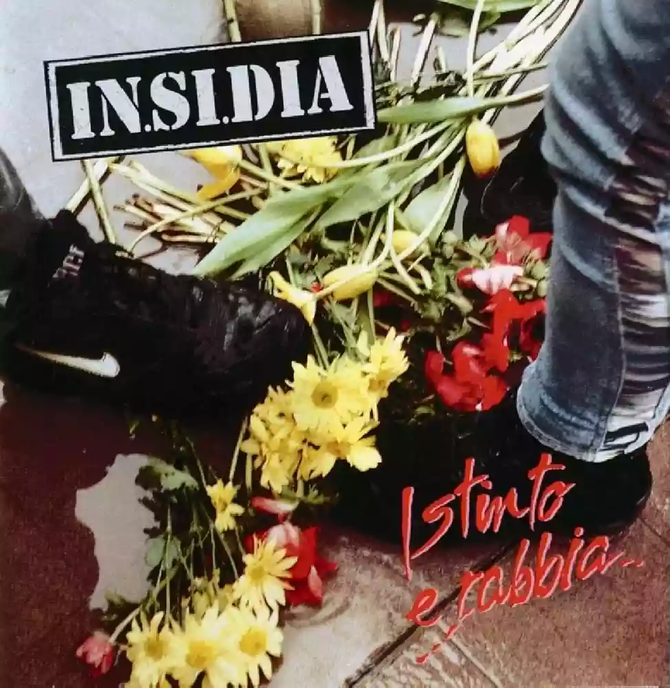 Copertina di IN.SI.DIA Istinto e rabbia