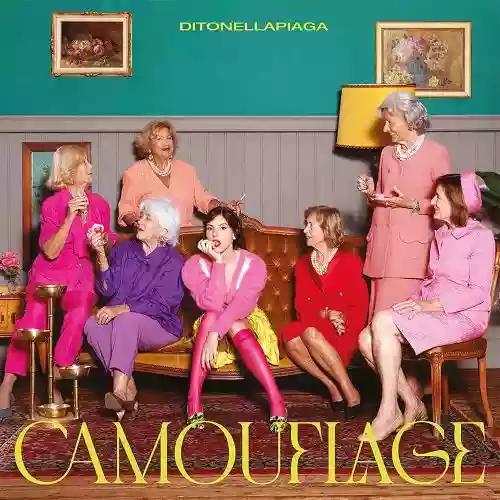 Cover di Camouflage
