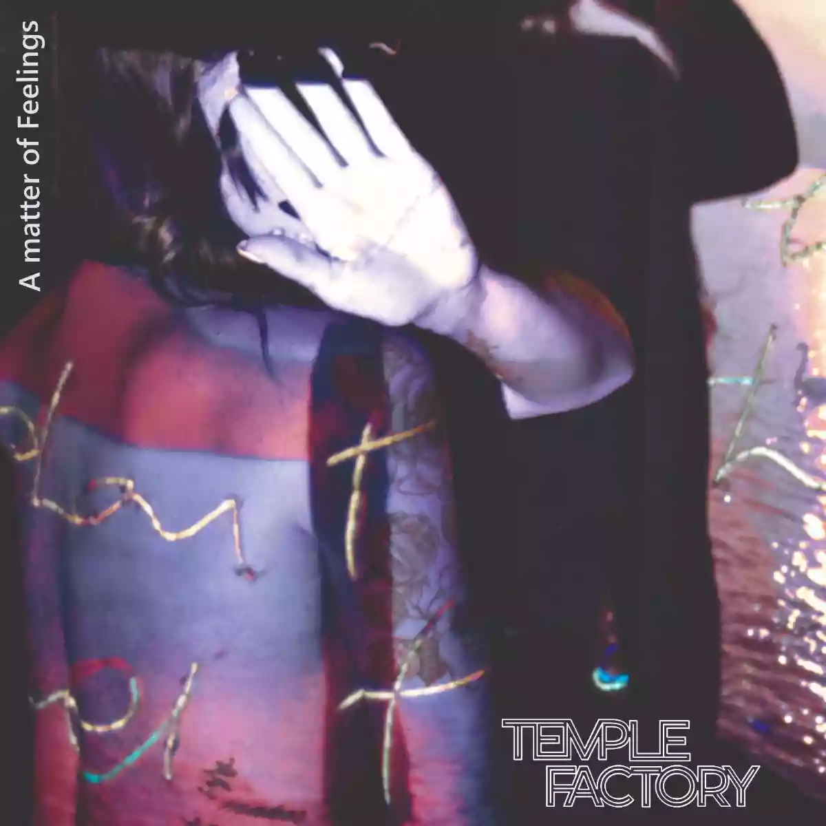 Copertina di TEMPLE FACTORY A MATTER OF FEELINGS 