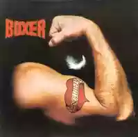 Copertina di Boxer Absolutely