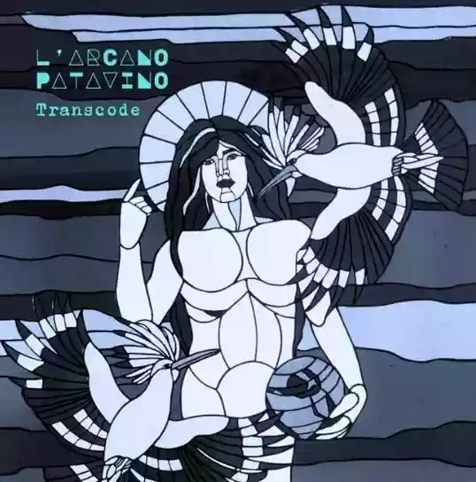 Copertina di L'Arcano Patavino Transcode