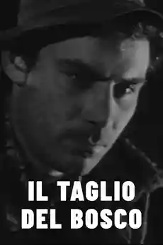 Cover of Vittorio Cottafavi Il taglio del bosco