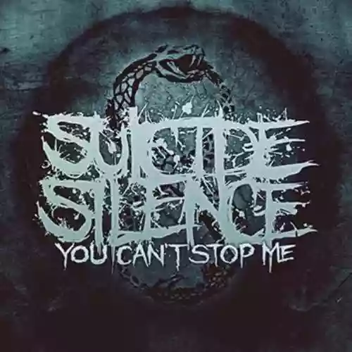 Cover di You Can't Stop Me