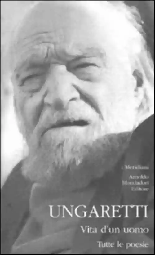 Cover di Soldati
