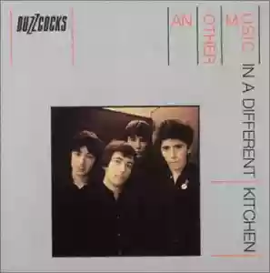 Buzzcocks: Another Kind Of Music In A Different Kitchen