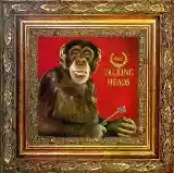 Talking Heads: Naked