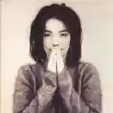 Björk: Debut