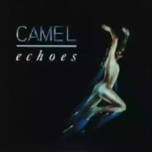 Cover Camel - Echoes