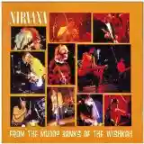 Nirvana: From The Muddy Banks Of The Wishkah