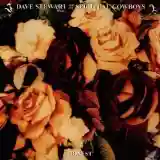 Dave Stewart & The Spiritual Cowboys: Honest
