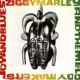 Ziggy Marley & The Melody Makers: Joy and Blues
