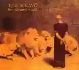 Cover di From the Lions Mouth