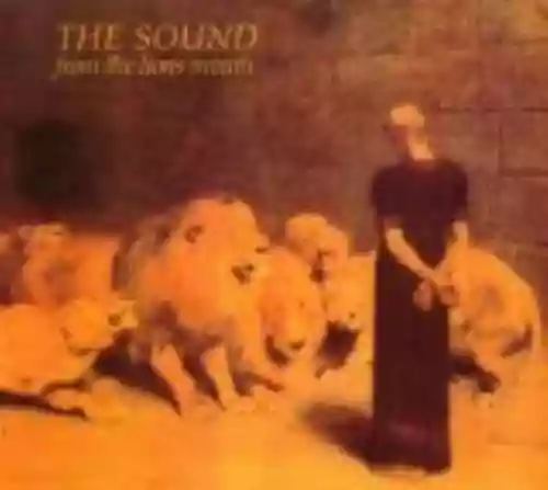 Cover The Sound - From the Lions Mouth