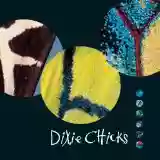 Dixie Chicks: Fly