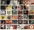 <b>Pearl Jam</b> • No Code