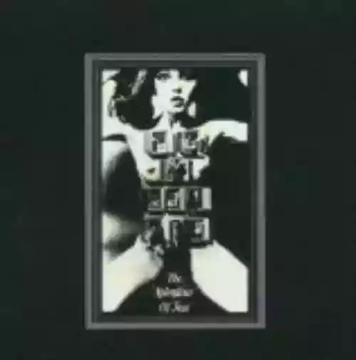 Cover Felt - The Splendour of Fear