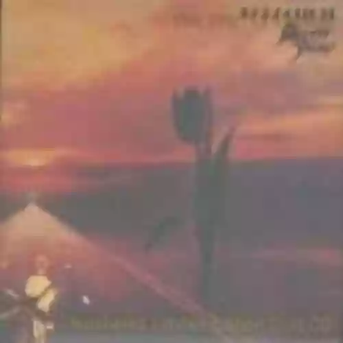 Cover di Parachute