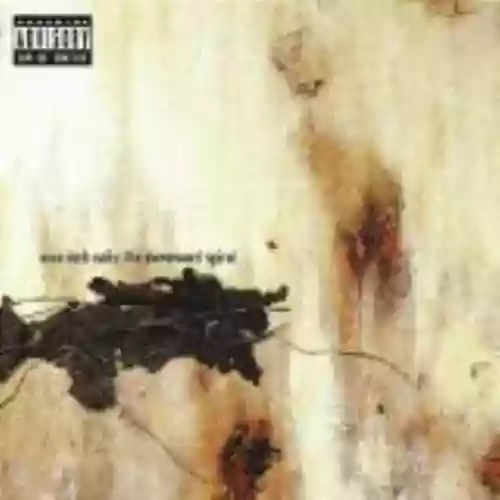 Cover Nine Inch Nails - The Downward Spiral