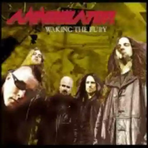 Cover di Waking the Fury