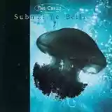 The Chills: Submarine Bells