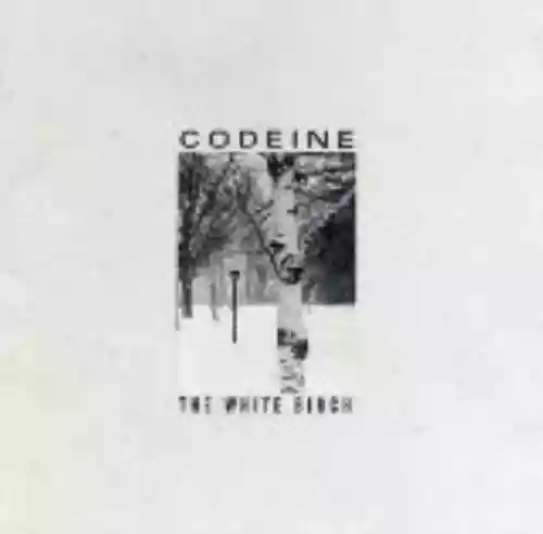 Cover di The White Birch