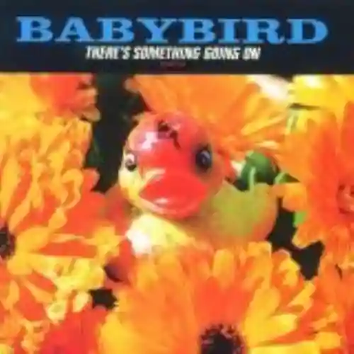 Cover Babybird - There's Something Going On